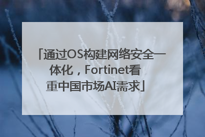 通过OS构建网络安全一体化，Fortinet看重中国市场AI需求