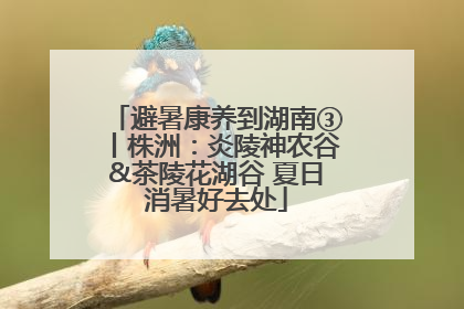 避暑康养到湖南③丨株洲：炎陵神农谷&茶陵花湖谷 夏日消暑好去处
