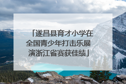 遂昌县育才小学在全国青少年打击乐展演浙江省赛获佳绩