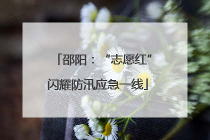 邵阳：“志愿红”闪耀防汛应急一线