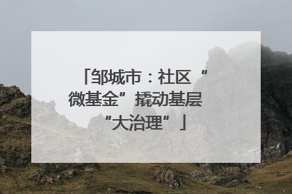 邹城市：社区“微基金”撬动基层“大治理”