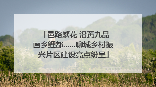 邑路繁花 沿黄九品 画乡鲤都……聊城乡村振兴片区建设亮点纷呈