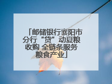 邮储银行襄阳市分行“贷”动夏粮收购 全链条服务粮食产业