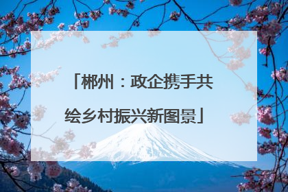 郴州：政企携手共绘乡村振兴新图景