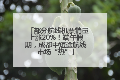 部分航线机票销量上涨20%！端午假期，成都中短途航线市场“热”