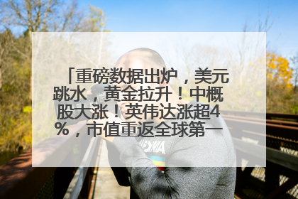 重磅数据出炉，美元跳水，黄金拉升！中概股大涨！英伟达涨超4%，市值重返全球第一！黄仁勋计划出售至多600万股股票