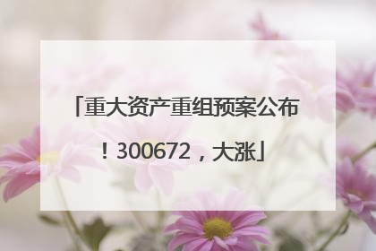 重大资产重组预案公布！300672，大涨