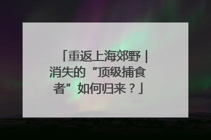 重返上海郊野｜消失的“顶级捕食者”如何归来？
