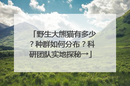 野生大熊猫有多少？种群如何分布？科研团队实地探秘→