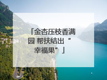 金杏压枝香满园 帮扶结出“幸福果”