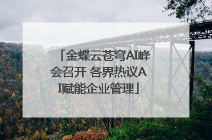 金蝶云苍穹AI峰会召开 各界热议AI赋能企业管理