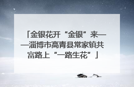 金银花开“金银”来——淄博市高青县常家镇共富路上“一路生花”