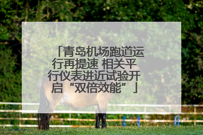 青岛机场跑道运行再提速 相关平行仪表进近试验开启“双倍效能”