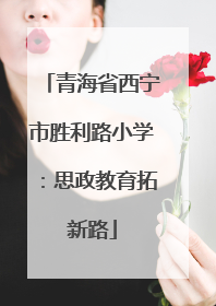 青海省西宁市胜利路小学：思政教育拓新路