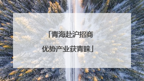 青海赴沪招商 优势产业获青睐