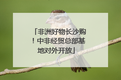 非洲好物长沙购！中非经贸总部基地对外开放
