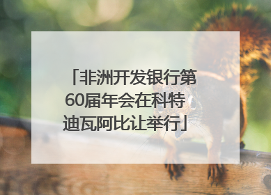 非洲开发银行第60届年会在科特迪瓦阿比让举行