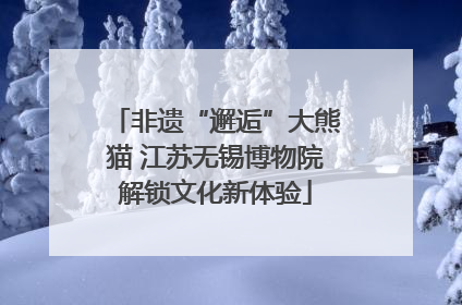 非遗“邂逅”大熊猫 江苏无锡博物院解锁文化新体验