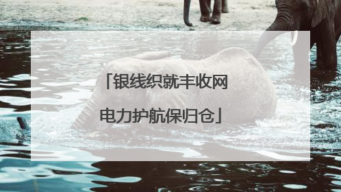 银线织就丰收网 电力护航保归仓