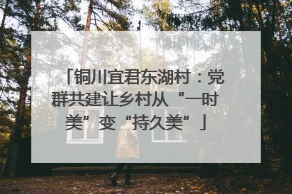 铜川宜君东湖村：党群共建让乡村从“一时美”变“持久美”