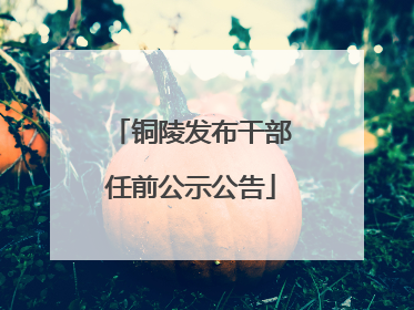 铜陵发布干部任前公示公告