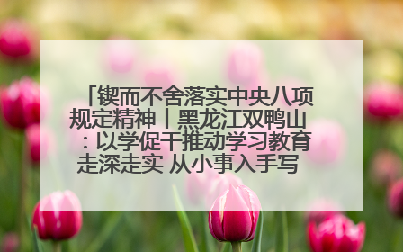 锲而不舍落实中央八项规定精神丨黑龙江双鸭山：以学促干推动学习教育走深走实 从小事入手写好“民生答卷”
