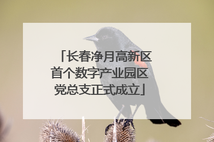 长春净月高新区首个数字产业园区党总支正式成立