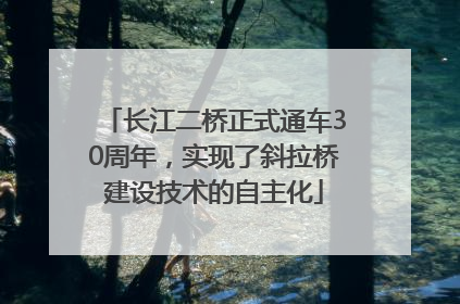 长江二桥正式通车30周年，实现了斜拉桥建设技术的自主化