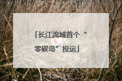 长江流域首个“零碳岛”投运