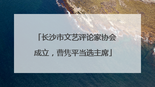 长沙市文艺评论家协会成立，曹隽平当选主席