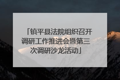 镇平县法院组织召开调研工作推进会暨第三次调研沙龙活动