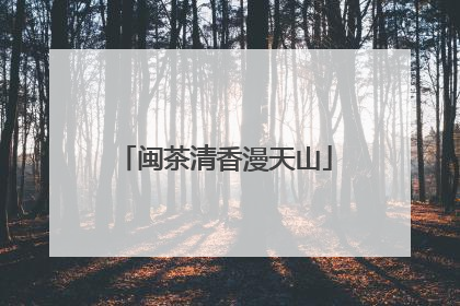 闽茶清香漫天山