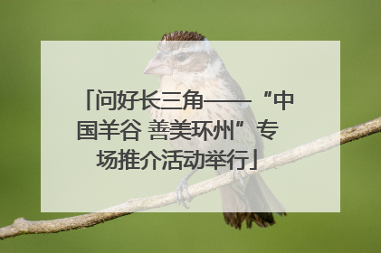 问好长三角——“中国羊谷 善美环州”专场推介活动举行