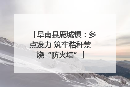 阜南县鹿城镇：多点发力 筑牢秸秆禁烧“防火墙”