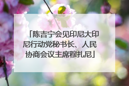 陈吉宁会见印尼大印尼行动党秘书长、人民协商会议主席穆扎尼