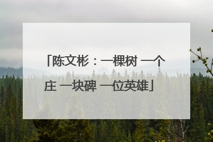 陈文彬：一棵树 一个庄 一块碑 一位英雄