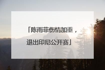 陈雨菲伤情加重，退出印尼公开赛