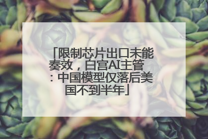限制芯片出口未能奏效，白宫AI主管：中国模型仅落后美国不到半年