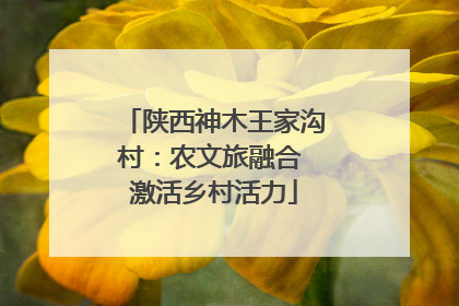 陕西神木王家沟村：农文旅融合 激活乡村活力