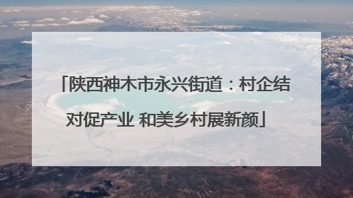 陕西神木市永兴街道：村企结对促产业 和美乡村展新颜