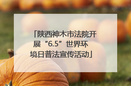 陕西神木市法院开展“6.5”世界环境日普法宣传活动