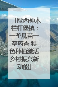 陕西神木栏杆堡镇：一垄瓜苗一垄药香 特色种植激活乡村振兴新动能