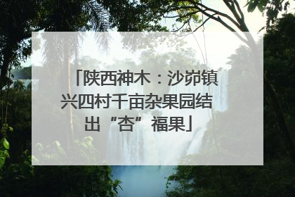 陕西神木：沙峁镇兴四村千亩杂果园结出“杏”福果