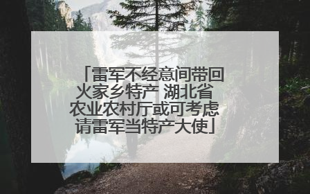 雷军不经意间带回火家乡特产 湖北省农业农村厅或可考虑请雷军当特产大使