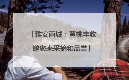 雅安雨城：黄桃丰收 邀您来采摘和品尝