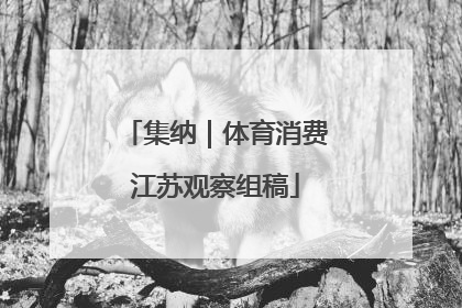 集纳｜体育消费江苏观察组稿