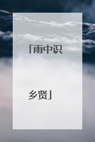 雨中识乡贤
