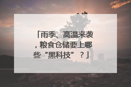 雨季、高温来袭，粮食仓储要上哪些“黑科技”？