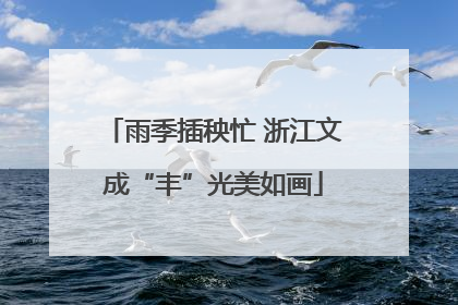 雨季插秧忙 浙江文成“丰”光美如画