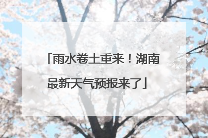 雨水卷土重来！湖南最新天气预报来了